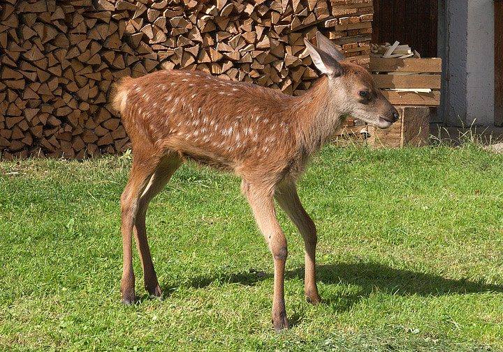 Val di Fleres